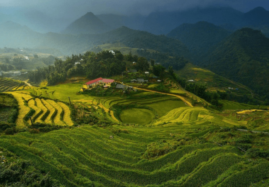 Darjeeling Gangtok Pelling Tour